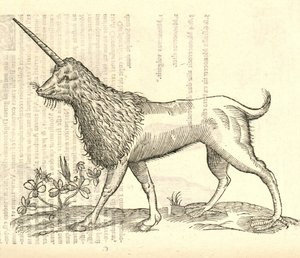 Illustration d
