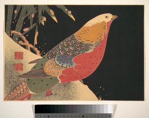 Faisan doré dans la neige, vers 1900 (gravure sur bois, encre et couleur sur papier) - Ito Jakuchu