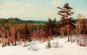 Hiver - Vue sur la forêt - Ivan Fedorovich Choultse