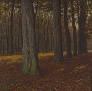 Paysage boisé