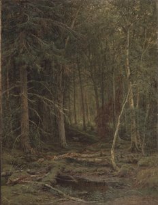 Arrière-pays - Ivan Ivanovich Shishkin