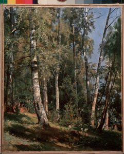 Bosquet de bouleaux - Ivan Ivanovich Shishkin