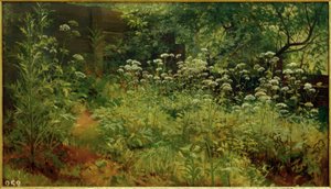 Giersch. Pargolowo - Ivan Ivanovich Shishkin