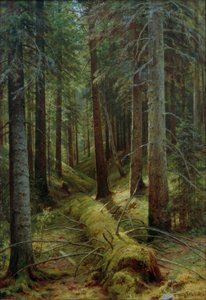 Dans la forêt russe - Ivan Ivanovich Shishkin
