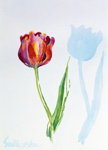 Tulipe - Izabella Godlewska de Aranda