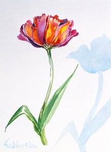 Tulipe - Izabella Godlewska de Aranda