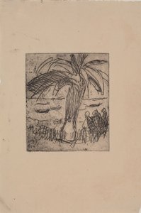 Palmier au bord de la mer