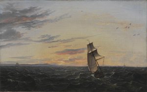 Paysage marin. La côte de l