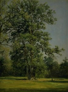 Un chêne. Vue du jardin à Wörlitz près de Dessau