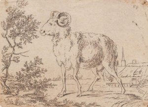 Un bélier - J.F. Clemens