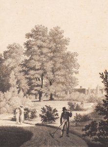 Jardin de Nordfeldt