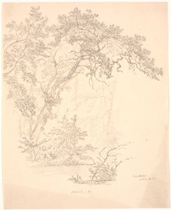 Arbres - J.P. Møller