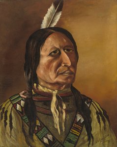 Indien des Plaines, quatrième quart du 19e siècle