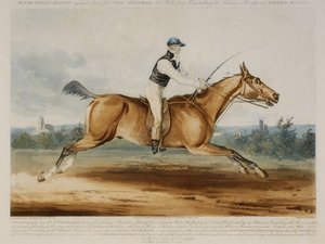 Portrait de M. William Hutchinson sur 
