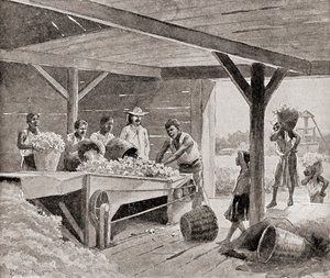 Esclaves travaillant avec une égreneuse de coton du 19ème siècle dans une plantation dans un état du sud des États-Unis d