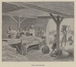 Le gin de coton