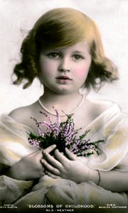 Fleurs de l