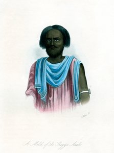 Un Melik des Arabes Shegyia, vers 1840 - J. Bull