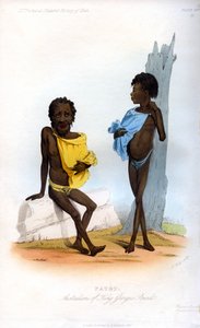 Patet, Australiens de King Georges Sound, 1848 - J. Bull