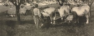 Équipe de labour - J. Craig Annan