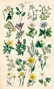 Page d