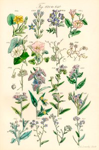 Page d