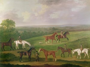 Chevaux à l
