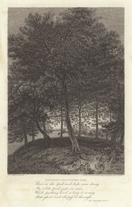 Robert Bloomfield, poète : Fakenham depuis Euston Park - J. Greig