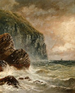 Paysage marin avec falaise