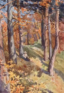 Dans la forêt de Sauvabelin, au-dessus de Lausanne - J. Hardwicke Lewis