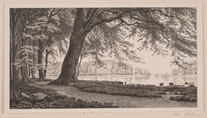 Après-midi de printemps au lac Fuglesang à Dyrehaven - J. Hildebrand