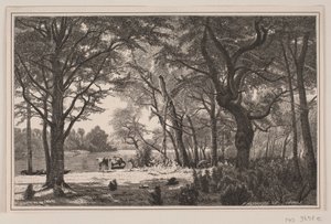 Paysage forestier du Jutland