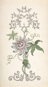 Conception pour la décoration d