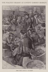 La saison des noix au marché de Covent Garden, Londres - J. Macfarlane