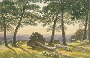 Hampstead Heath, Londres, vers 1830