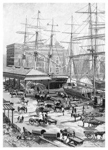 Transport maritime, Circular Quay, Sydney, Nouvelle-Galles du Sud, Australie - J. R. Ashton