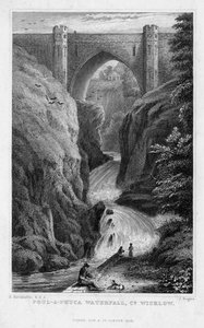 Cascade de Poul a Phuca, Comté de Wicklow, 1829 - J. Rogers