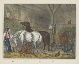 Écurie - J. Scotti