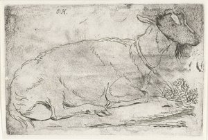 Chèvre couchée - Jabes Heenck (signed by artist)