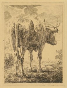 Vache dans un paysage