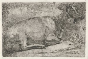 Chèvre couchée - Jabes Heenck