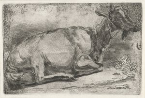 Chèvre couchée - Jabes Heenck