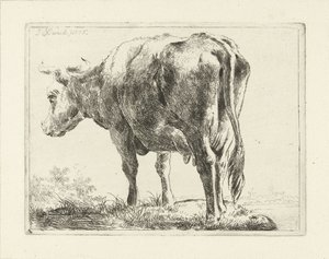 Vache debout - Jabes Heenck