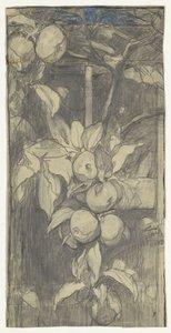 Tros Keizer-Alexander-appels