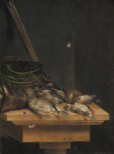 Oiseaux morts