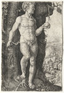 Adam, 1526 - Jacob Binck
