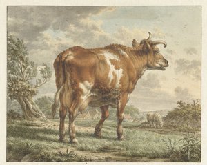 Vache pie rouge dans un paysage