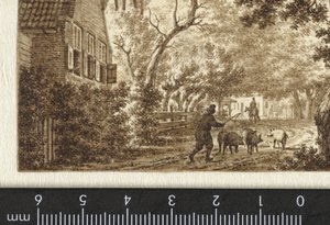 Porcher sur un chemin devant une maison
