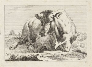 Vache couchée