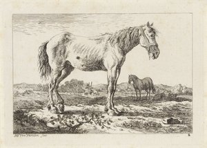 Cheval debout dans un paysage - Jacob Elias van Varelen